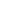 Architecture & Leadership Practices Icon