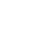 Systems & Networking Fundamentals Icon