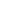 Security & Secure Engineering Icon
